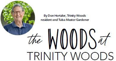 The WOODS at Trinity Woods